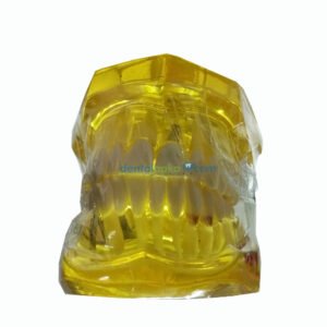 Denext all in one model